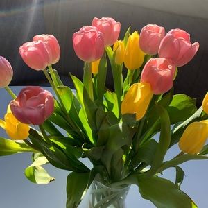 Meet your Posher, Lesley